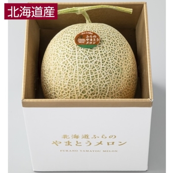 【お中元】北海道富良野市産やまとうメロン（１個）