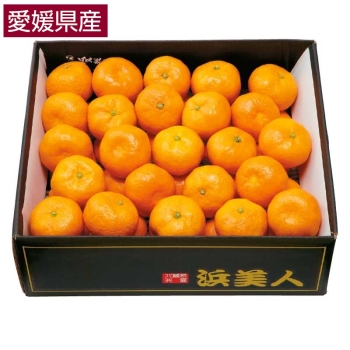【お歳暮】外なり育ち　愛媛県産浜美人みかん（Ｌ・Ｍ）