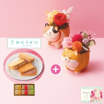 【遅れてごめんね】アニマルプリザと「銀座千疋屋」銀座フルーツサンド