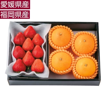 【お歳暮】愛媛県産紅まどんな＆福岡県産あまおう詰合せ