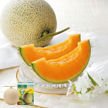 【母の日】熊本県産アールスメロン（１個）