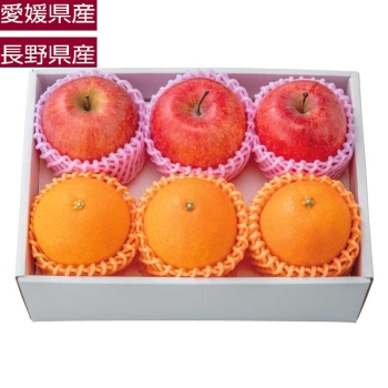 【お歳暮】愛媛県産紅まどんな＆長野県産サンふじりんご詰合せ