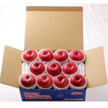 【お歳暮】岩手県花巻市産　賢治りんご（秀品）