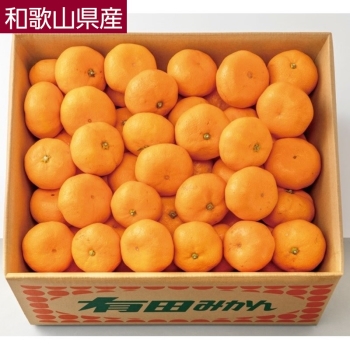 【お歳暮】和歌山県産　有田みかん（１０ｋｇ）