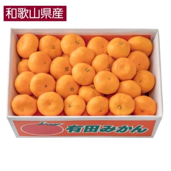 【お歳暮】和歌山県産　有田みかん（５ｋｇ）