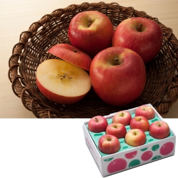 青森県産　葉とらず りんご【こうとく】（２ｋｇ）