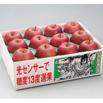 りんご出品 ニュージーランド産 JAZZりんご(品種:サイフレッシュ) 約2.6キロ