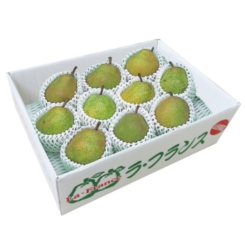 山形県産　ご自宅向け ラ・フランス（２．８ｋｇ）