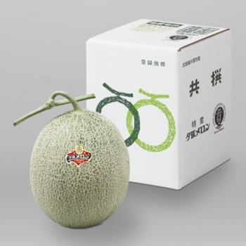 【お中元】 北海道産夕張メロン（良品）１個