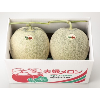 【お中元】北海道富良野市産「夫婦メロン」（キングルビーメロン）