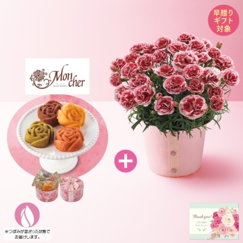 【早贈り】カーネーション（いちごホイップ）と「パティスリーモンシェール」エタニティ