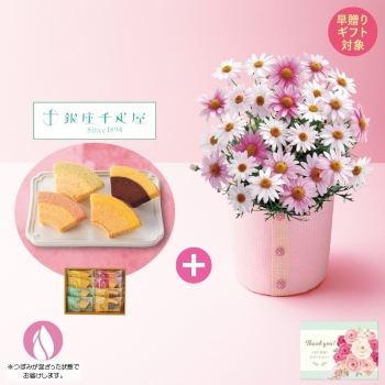 【早贈り】マーガレット（さくらべーる）と「銀座千疋屋」銀座フルーツクーヘン