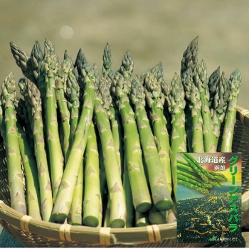北海道 南檜山地区産　グリーンアスパラガス（ハウス栽培）