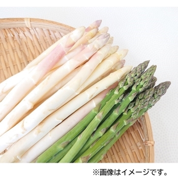 北海道産　グリーン＆ホワイアスパラガスセット