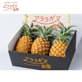 西表島産 アララガマ農園のピーチパイン（２ｋｇ）