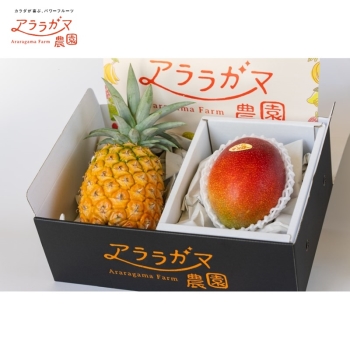 西表島産 アララガマ農園のパイン＆マンゴーセット
