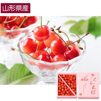 【お中元】山形県産さくらんぼ（品種お任せ品）４５０ｇ