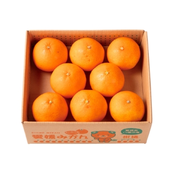 【お歳暮】ご自宅向け　愛媛県産　まごころまどんな（２ｋｇ）