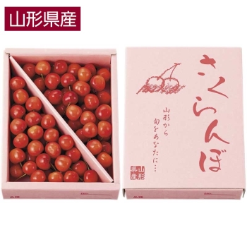 【お中元】山形県産さくらんぼ（５００ｇ）