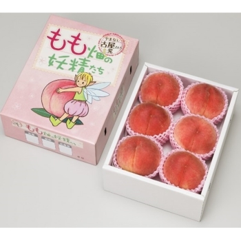 【お中元】山梨県 御坂町産の桃（２ｋｇ）