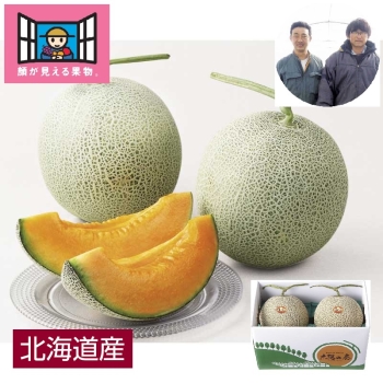 【お中元】「顔が見える果物。」北海道富良野市産メロン「太陽の奏」２個