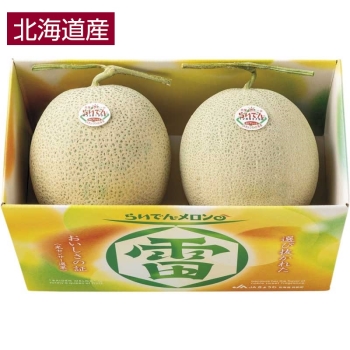 【お中元】北海道産らいでんメロン２個
