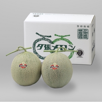 【お中元】北海道産夕張メロン（良品）２個