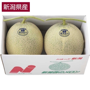 【お中元】新潟県産キスロマンメロン（２個）