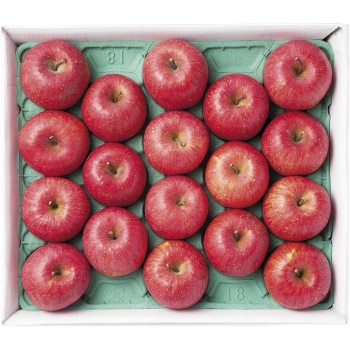 【お歳暮】竹節さんグループ志賀高原のりんご（５ｋｇ）