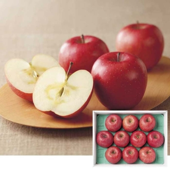 【お歳暮】竹節さんグループ志賀高原のりんご（３ｋｇ）