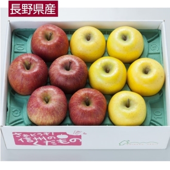 【お歳暮】長野県産　サンふじ＆シナノゴールド詰合せ（２．７ｋｇ）