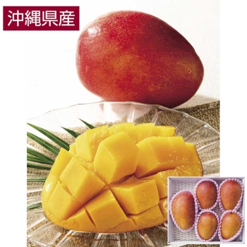 【お中元】沖縄県産やんばるマンゴー不揃品