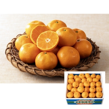 【お歳暮】長崎県産　輝冬みかん５ｋｇ（Ｍサイズ）