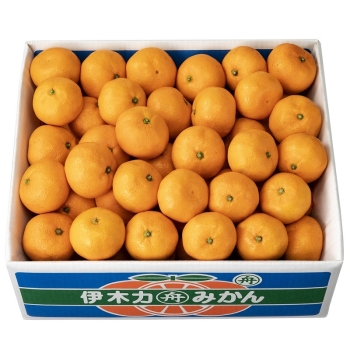 【お歳暮】長崎県産　輝冬みかん５ｋｇ（Ｓサイズ）