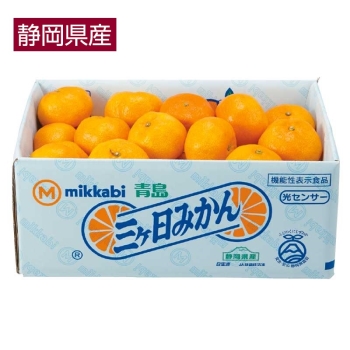 【お歳暮】静岡県産　三ケ日みかん（青島）４ｋｇ（Ｌサイズ）