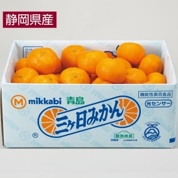 【お歳暮】静岡県産　三ケ日みかん（青島）３．５ｋｇ（２Ｌ）
