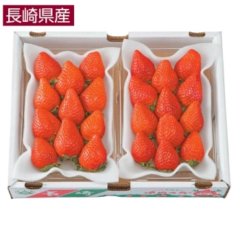 【お歳暮】長崎県産　ゆめのか苺（５４０ｇ）