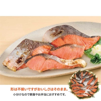 【お歳暮】塩紅鮭切落し端材　Ｌ－Ａ