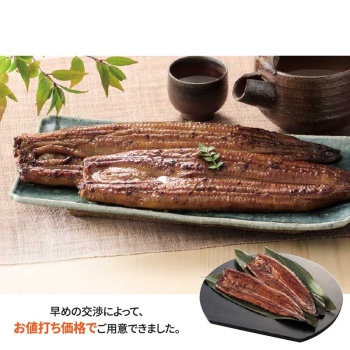 【お歳暮】国産うなぎ長蒲焼２尾　Ｂ－Ａ