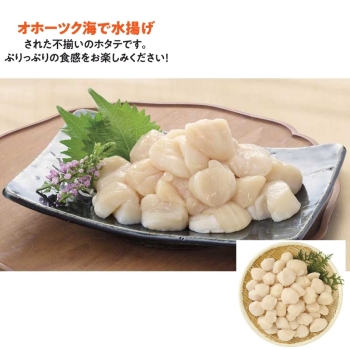【お中元】不揃いのホタテたち（刺身用）Ｓ－Ａ