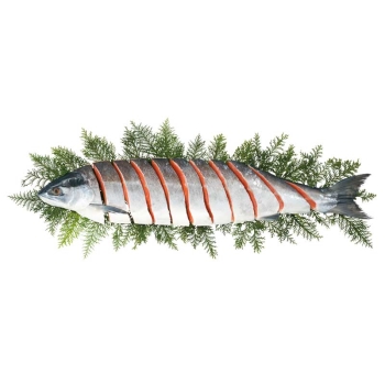 【お歳暮】北海道産　塩紅鮭　山漬姿切り半身（甘塩味）Ｌ－５