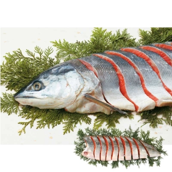 【お歳暮】北海道加工　塩紅鮭山漬汐風干し姿切り半身（中辛塩味）Ｌ－８