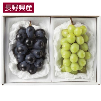 【お中元】長野県産ぶどう２色詰合せ２房（９００ｇ）