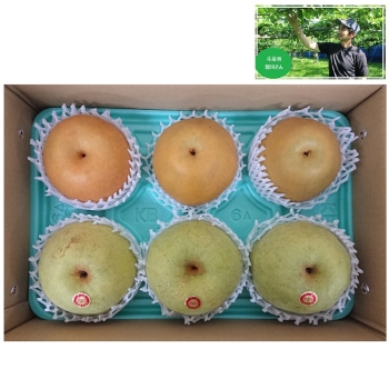【梨ギフト】千葉県鎌ヶ谷地区産　皆川さんのかおり梨＆新高梨５ｋｇ　６個入　ＭＭＩＸ５－６