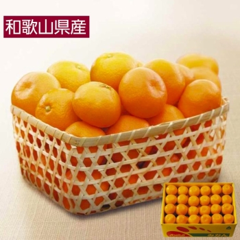 【お歳暮】和歌山県紀の川市産　みかん５ｋｇ（Ｓサイズ）