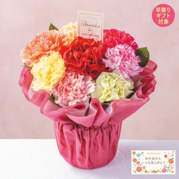 【早割り 母の日】フラワーアレンジメント「カラフルカーネーション」