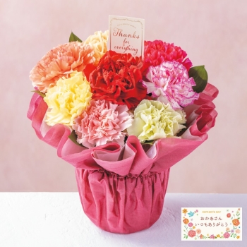 【母の日】フラワーアレンジメント「カラフルカーネーション」