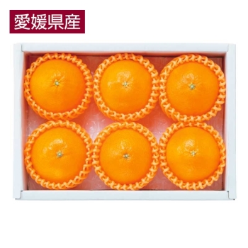 【お歳暮】愛媛県産　紅まどんな（１．２ｋｇ）