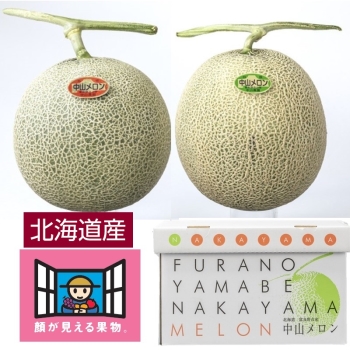 【お中元】「顔が見える果物。」北海道富良野市産メロン「太陽の奏」詰合せ（赤・青）