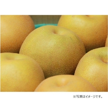 【梨ギフト】千葉県四街道地区産　豊水梨３ｋｇ　６～８個入　ＹＨ３－６－８